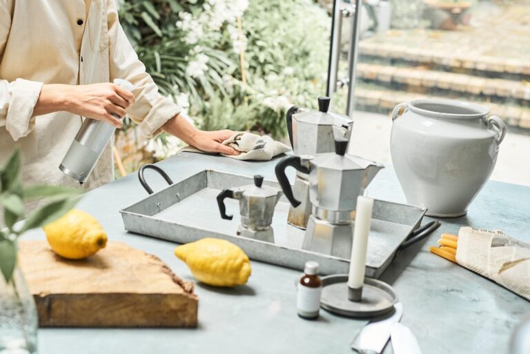 The Ultimate Guide to Eco-Friendly Cleaning Solutions