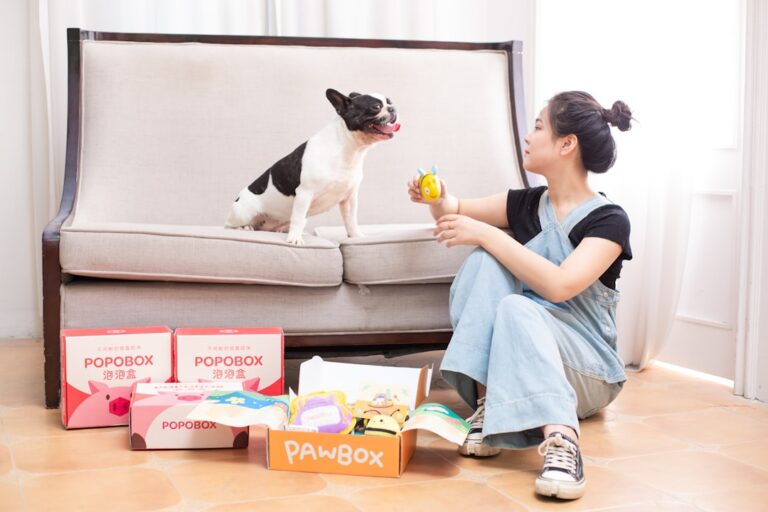 Discover the Best Cleaning Products for Pet Owners